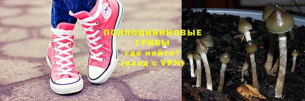 ALPHA PVP Нягань