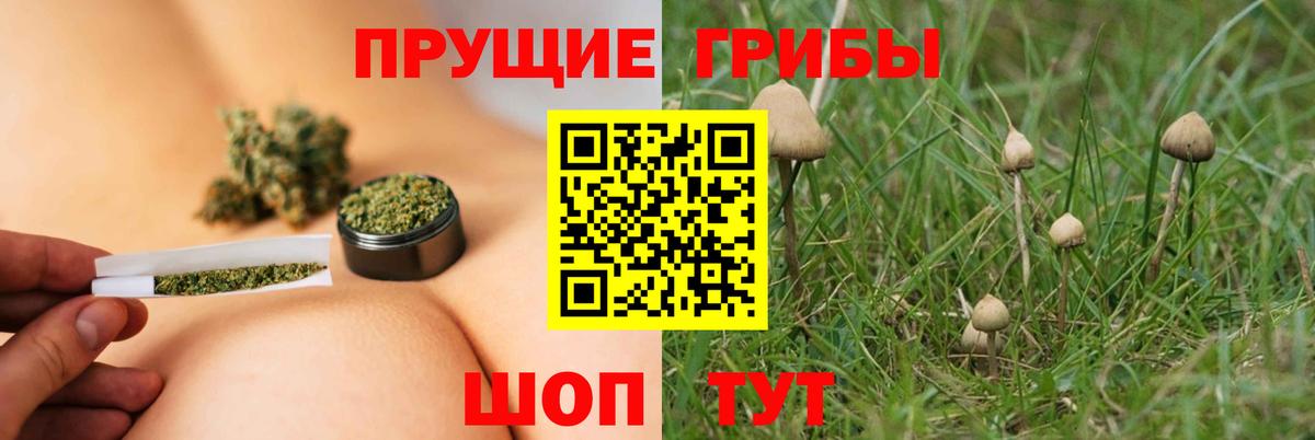 Псилоцибиновые грибы Magic Shrooms  Вход с VPN  Ялта 